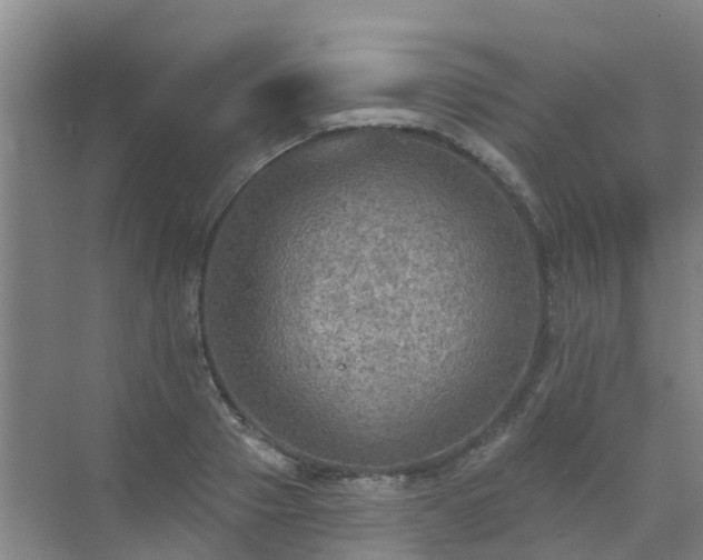 X0000072970937200607282318