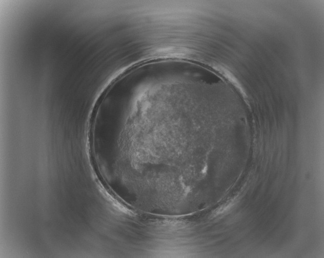 X0000072970941200607282318