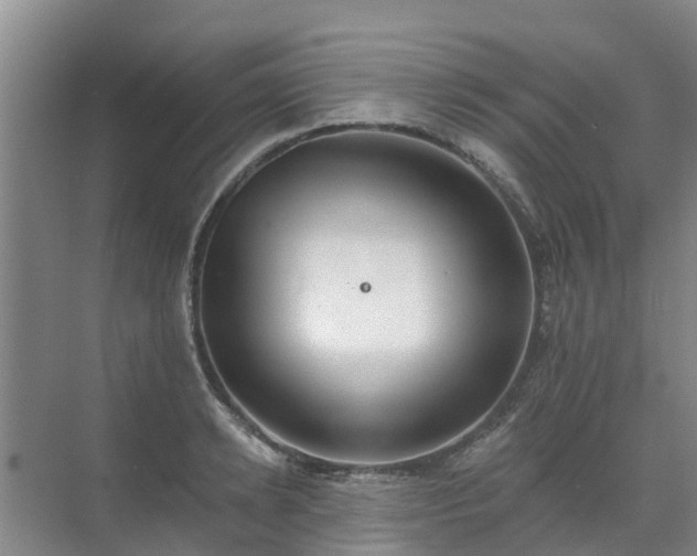 X0000072970942200607282318