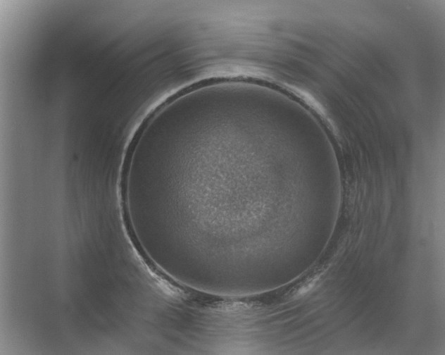 X0000072970943200607282318