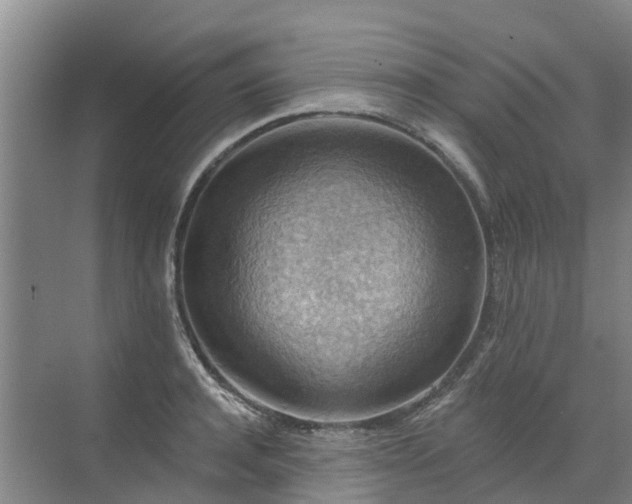 X0000072970944200607282318