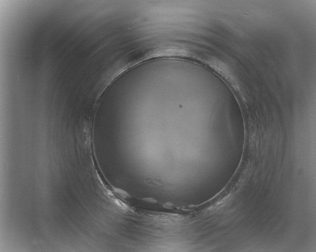 X0000072970945200607282318