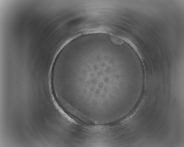 X0000072970949200607282318