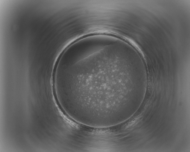 X0000072970951200607282318