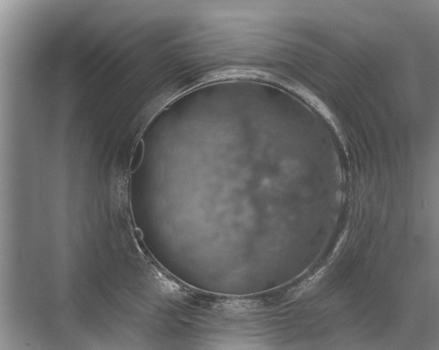 X0000072970953200607282318