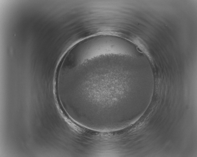 X0000072970955200607282318