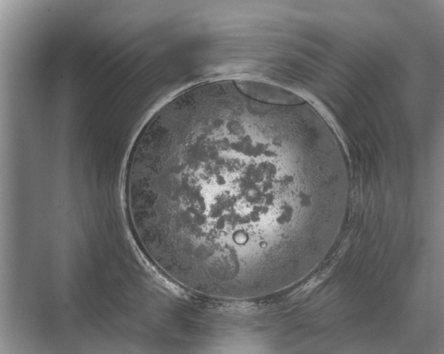 X0000072970957200607282318