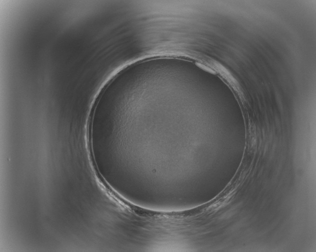 X0000072970958200607282318