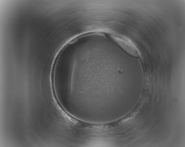 X0000072970959200607282318