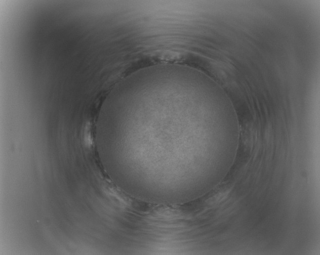 X0000072970962200607282318