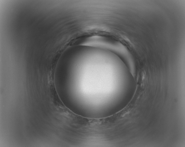 X0000072970965200607282318