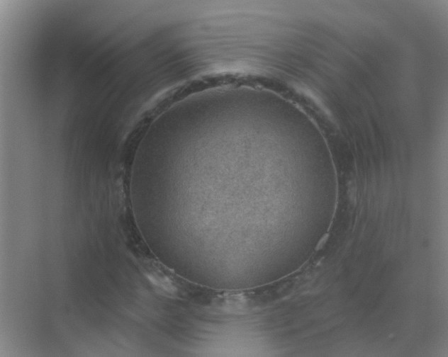 X0000072970968200607282318