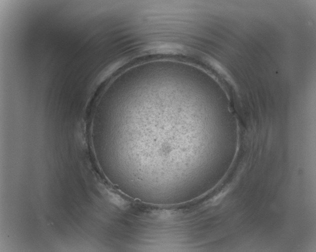 X0000072970970200607282317