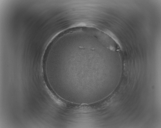 X0000072970972200607282317