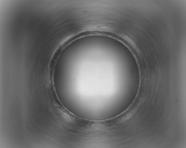 X0000072970974200607282317