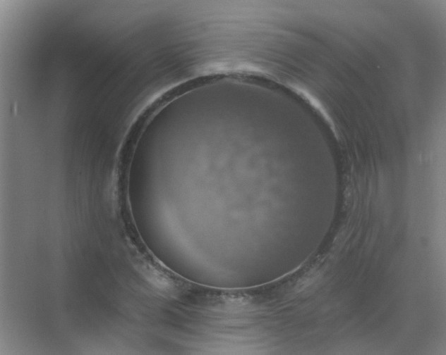 X0000072970975200607282317