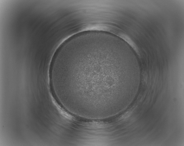 X0000072970980200607282317