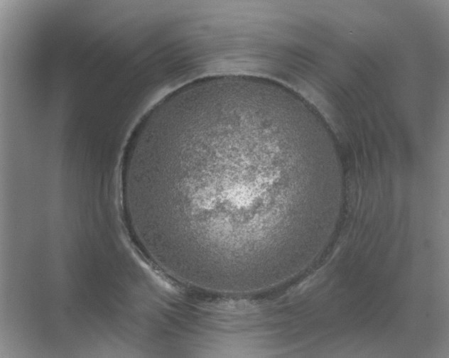 X0000072970982200607282317