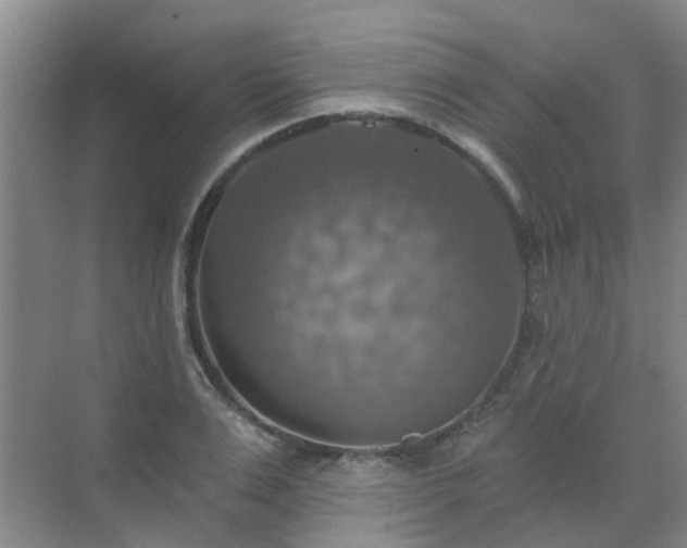 X0000072970983200607282317