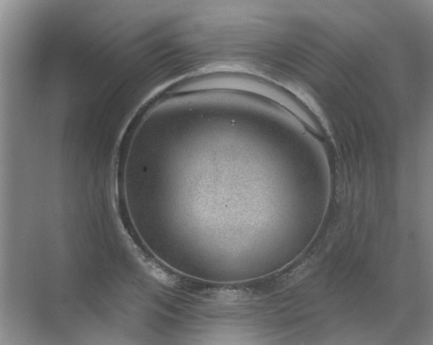 X0000072970984200607282317