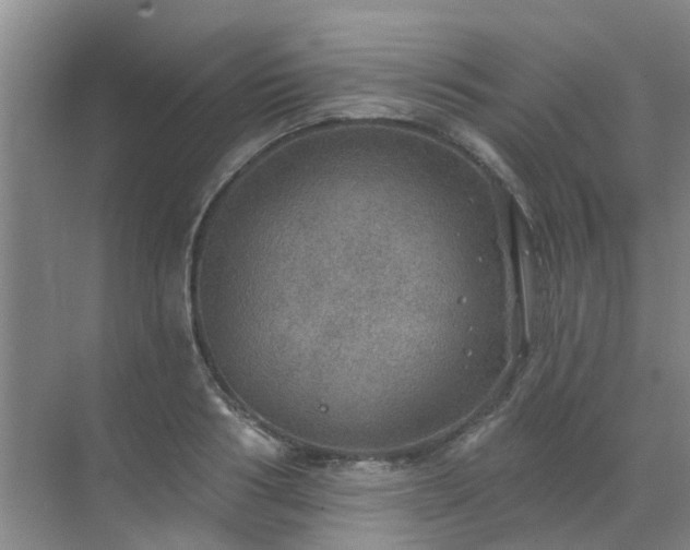 X0000072970986200607282317