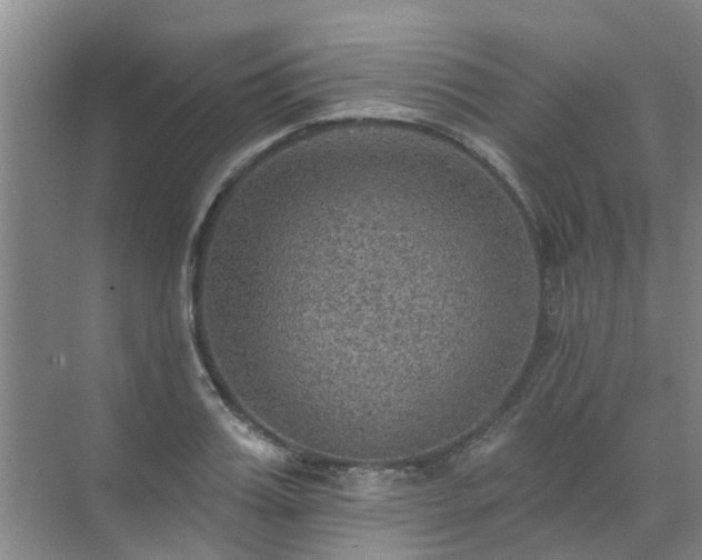 X0000072970987200607282317