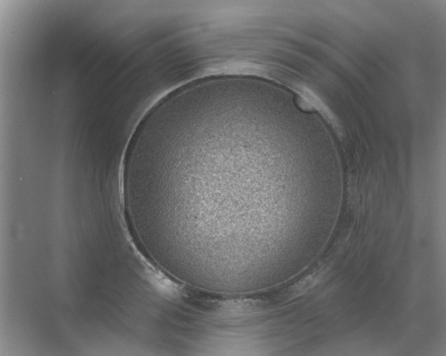 X0000072970988200607282317