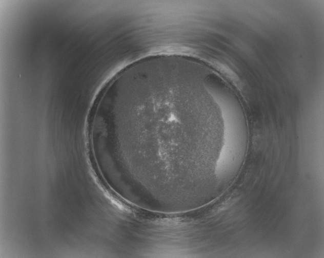 X0000072970990200607282317