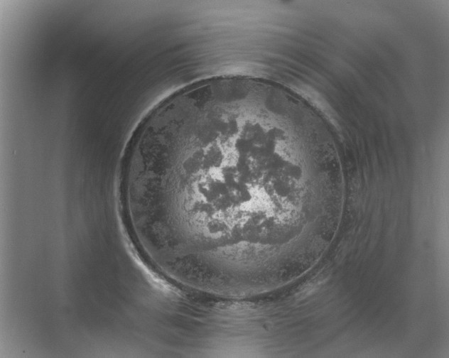 X0000072970991200607282317