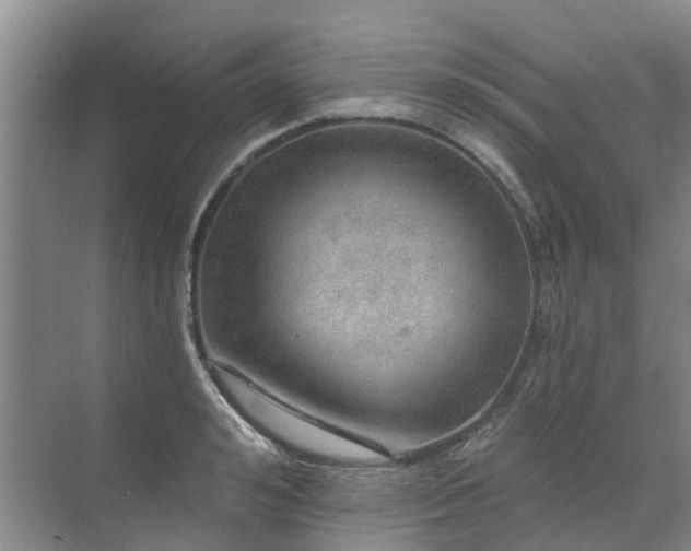 X0000072970992200607282317