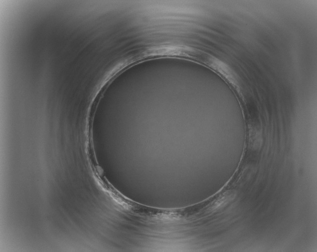 X0000072970994200607282317