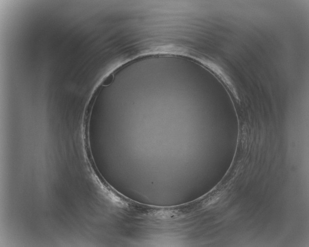 X0000072970998200607282317