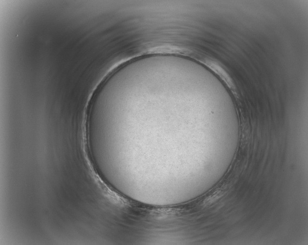 X0000072971000200607282317