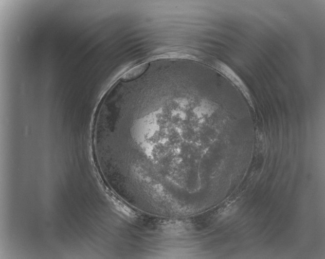 X0000072971002200607282317