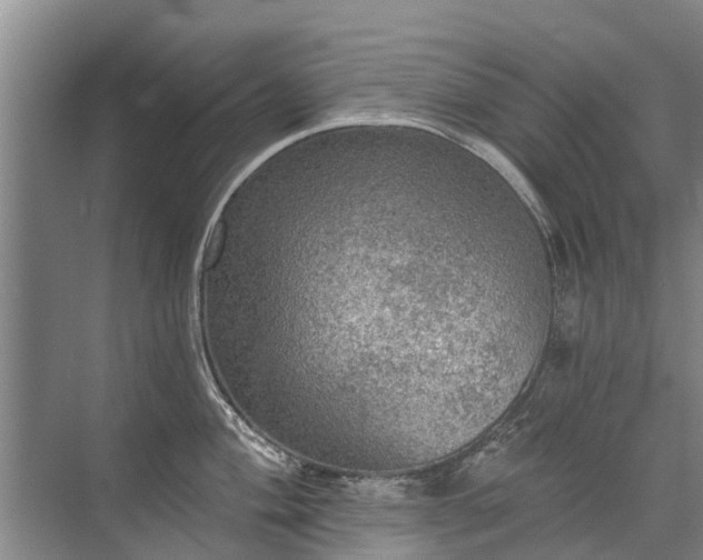 X0000072971004200607282317