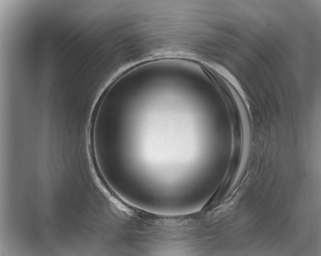 X0000072971005200607282317