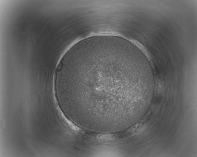 X0000072971006200607282317