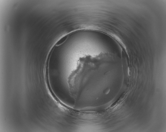 X0000072971007200607282317