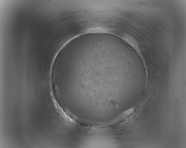 X0000072971008200607282317