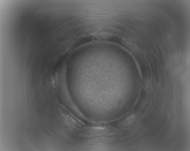 X0000072971010200607282316