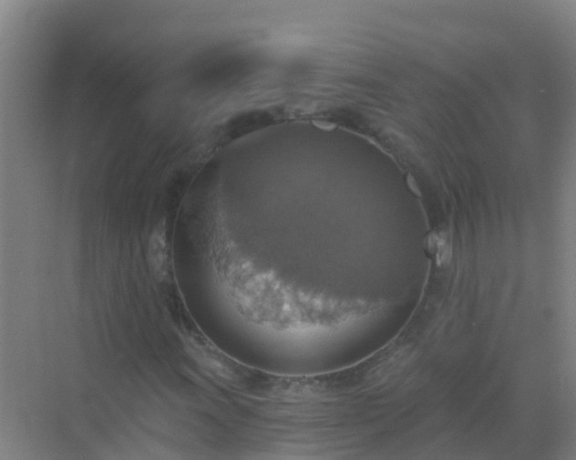 X0000072971011200607282316