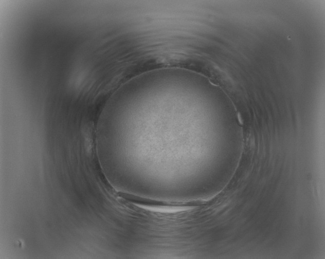 X0000072971012200607282316