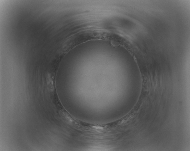 X0000072971013200607282316