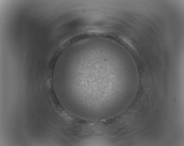 X0000072971015200607282316