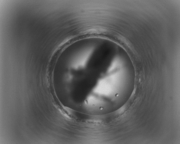 X0000072971018200607282316