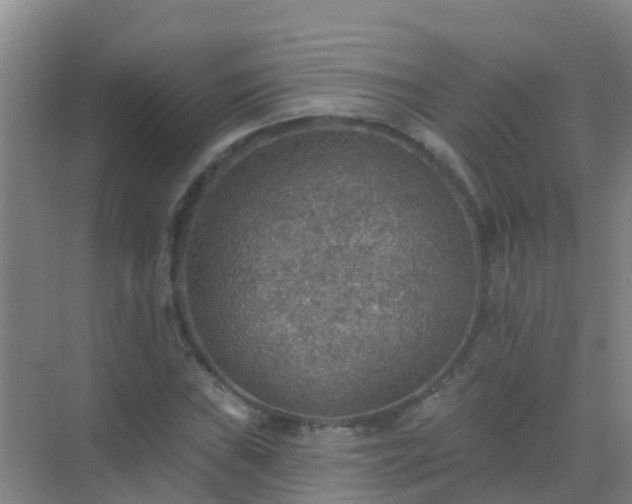 X0000072971019200607282316