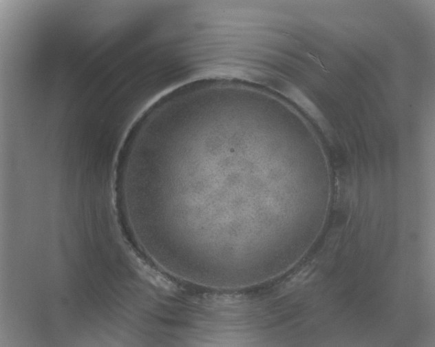 X0000072971020200607282316