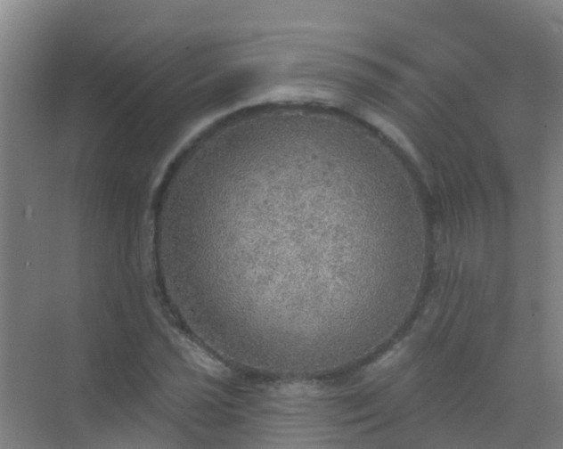 X0000072971021200607282316