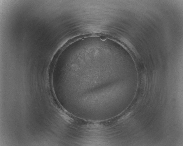 X0000072971023200607282316