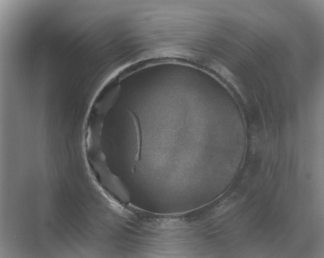 X0000072971024200607282316